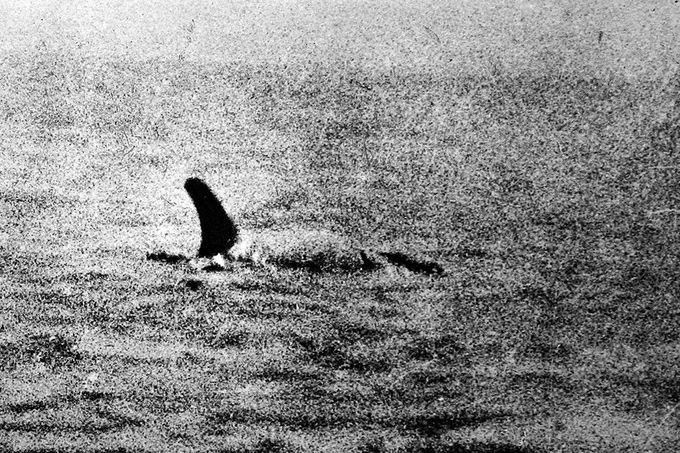 Loch Ness, 1934: Zvětšený turistický snímek s tmavou „ploutví“. Patří k sérii dobových fotografií během rané mediální horečky.