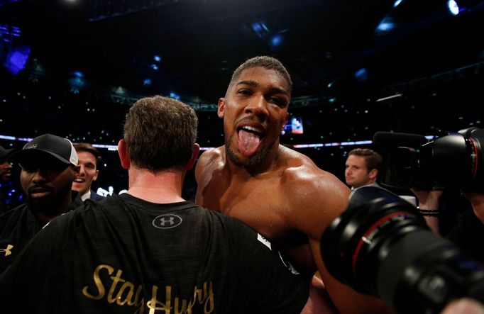 Vladimir Kličko vs. Anthony Joshua: Anthony Joshua na zemi