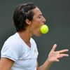 Francesca Schiavoneová, Wimbledon 2012