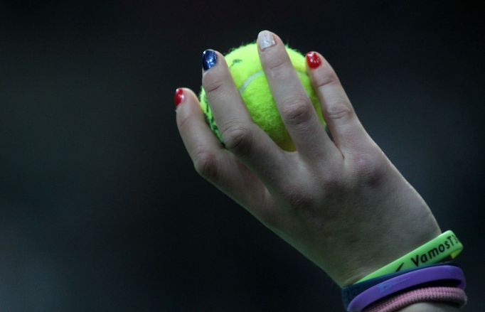 Finále Davis Cupu, zápas Radek Štěpánek - David Ferrer