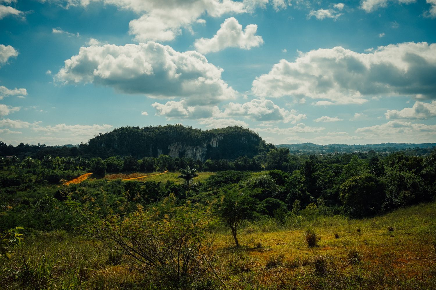 Romana Marie Jokelová: Kuba