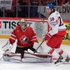 Hokej, MS 2013, Česko - Kanada: Martin Hanzal - Mike Smith