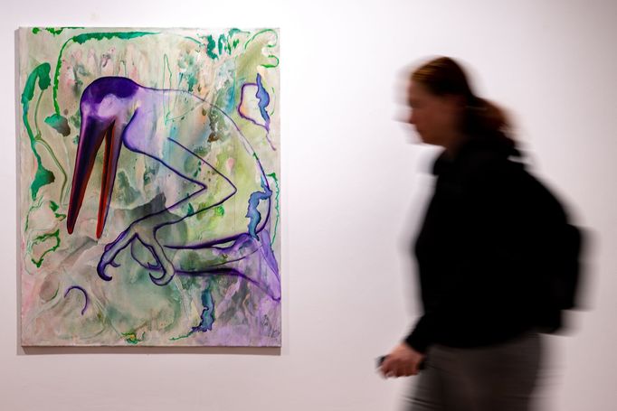 Snímek z výstavy děl Pavla Příkaského.