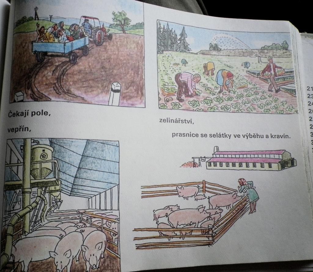 Vědomosti předškoláka v ČSSR 1976