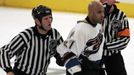 Donald Brashear, bitkař NHL