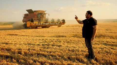 Bulhaři mírní světovou krizi s pšenicí. Sami budou jíst obilí pro zvířata