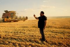 Bulhaři mírní světovou krizi s pšenicí. Sami budou jíst obilí pro zvířata