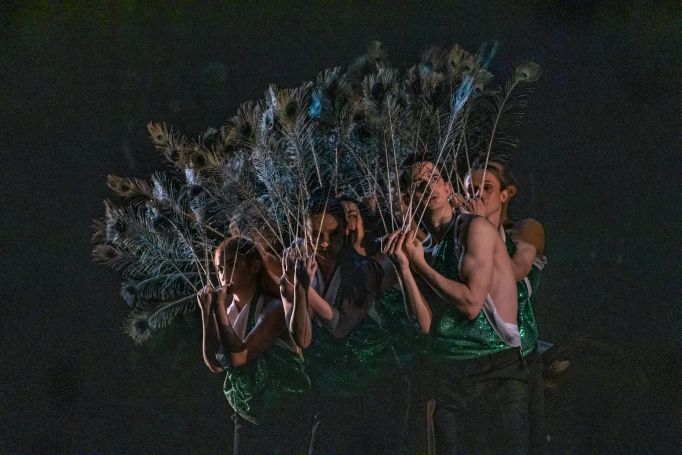 Les humorně ztvárněný tanečníky s pavími pery.