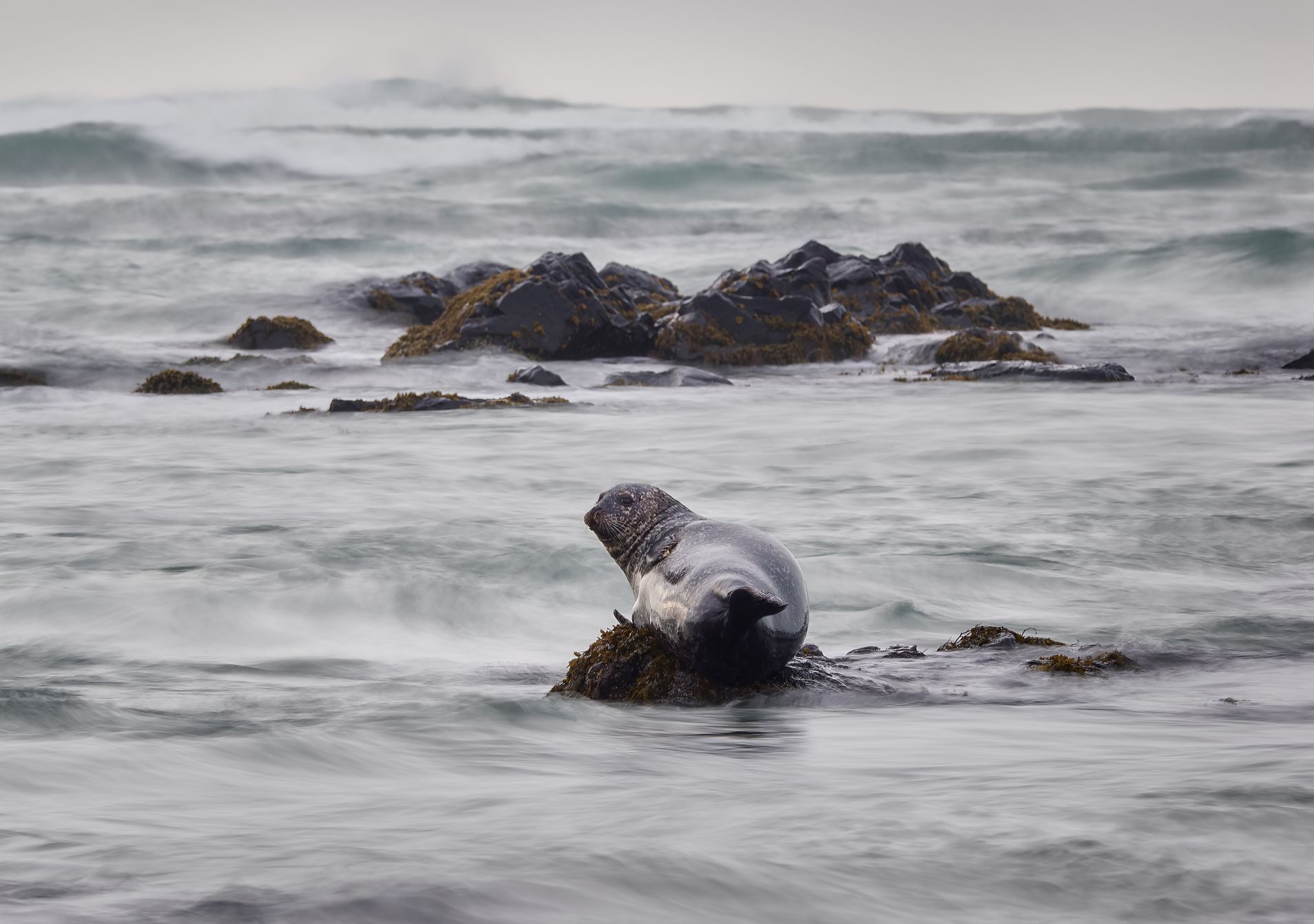 FOTO: Krásy Islandu objektivem fotografa Marka Ondráčka, Dvě tváře Islandu: Fotograf Ondráček o boji s živly a polární září, Magazín, fotogalerie