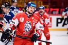 Český hokej přišel nedohranou sezonou o půl miliardy. Očekává i další ztráty