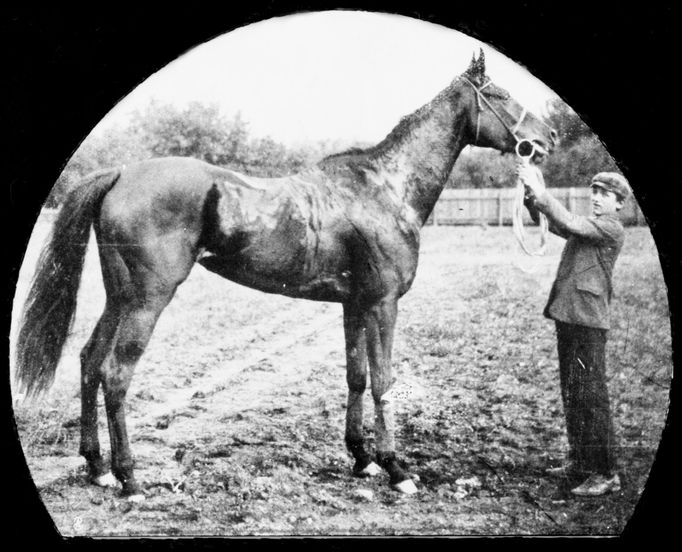 Vítězka vůbec prvního dostihu v Chuchli, klisna Vision z majetku veterináře Františka Bartosche. Psalo se září 1906.