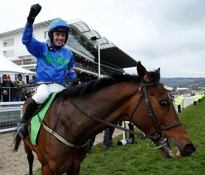 Ruby Walsh v Cheltenhamu