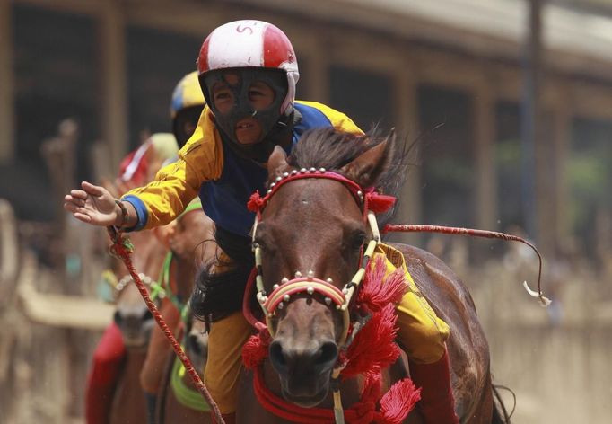 A child jockey raises his hand after winning a race at Panda racetrack, outside Bima, November 18, 2012. Dozens of child jockeys, some as young as eight-years-old take part in the races. Involving nearly 600 horses they take place around a dusty, oval track of 1,400 meters (nearly one mile). The reward, for the winner is a handful of cash for his family, and glory for the jockey. The grand prize is one million rupiah ($100). Those who win their groups get two cows. The chairman of the races' organising team, Hajji Sukri, denies that there is any danger to the children saying they are all skilful riders and none has been killed or seriously hurt. Picture taken November 18, 2012. REUTERS/Beawiharta (INDONESIA - Tags: SPORT SOCIETY) ATTENTION EDITORS: PICTURE 16 of 25 FOR PACKAGE 'BETTING ON CHILD JOCKEYS' Published: Lis. 24, 2012, 9:16 dop.