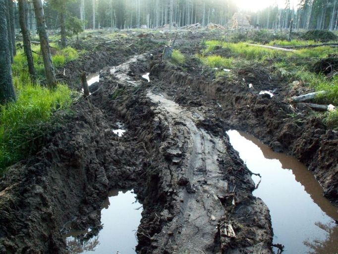 Koleje v Modravě v Národním parku Šumava