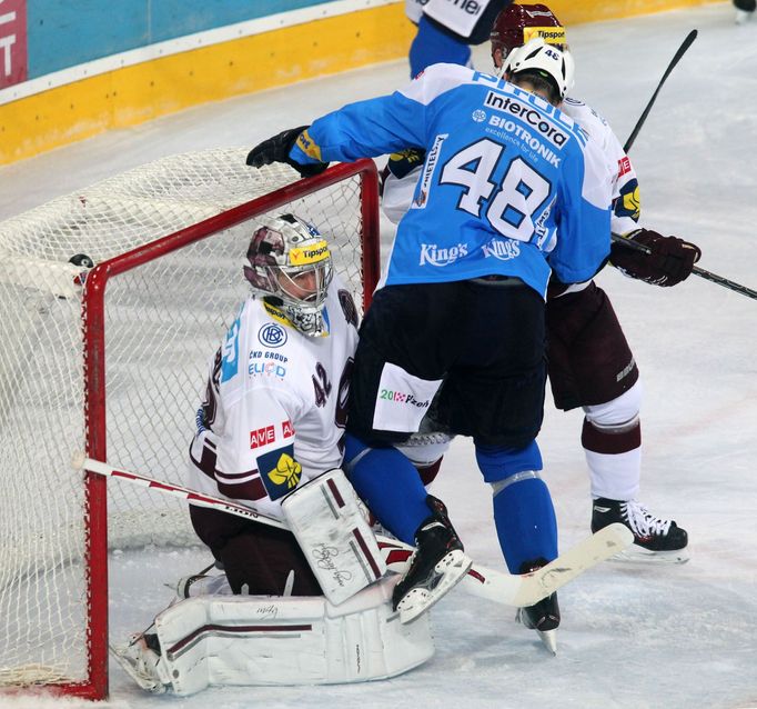 Hokej, extraliga, Sparta - Plzeň: Tomáš Pöpperle - Tomáš Pitule