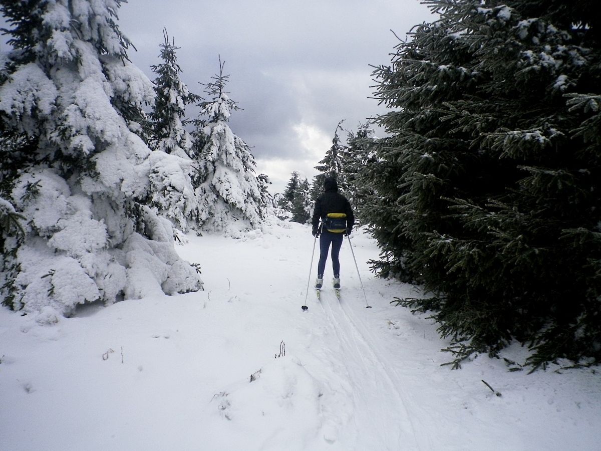 Kde hledat přírodní sníh? Začněte v 900 m.n.m.