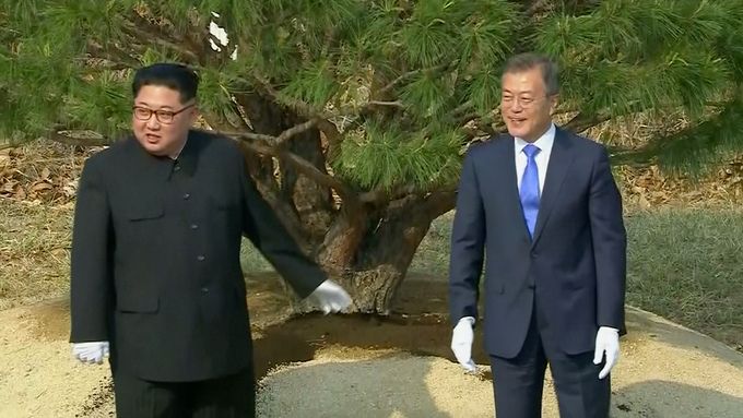 Kim Čong-un přijel limuzínou, pak s jihokorejským prezidentem zasadil mírovou borovici