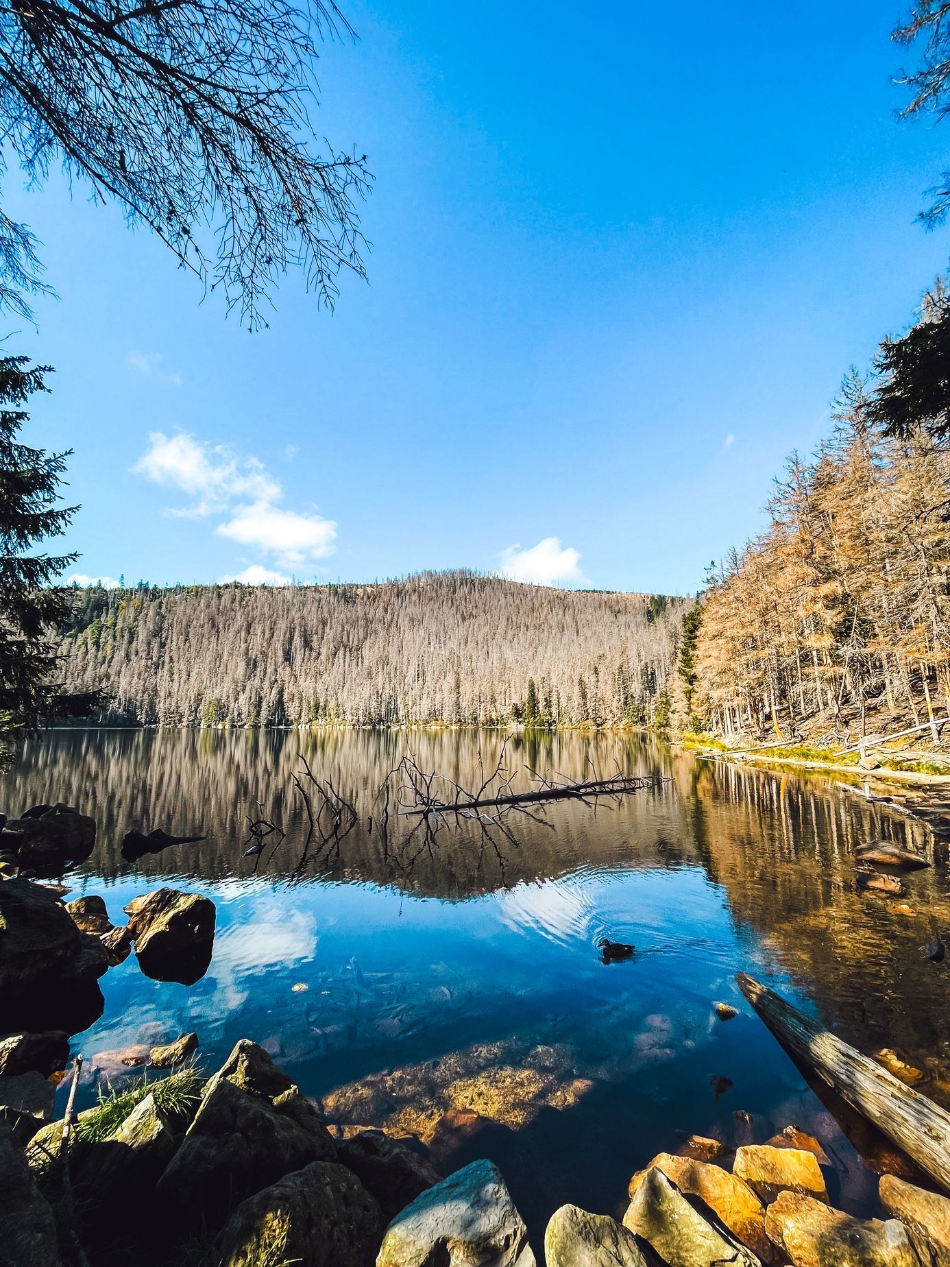 Hanka šla část Stezky Českem s malým synem v kočárku