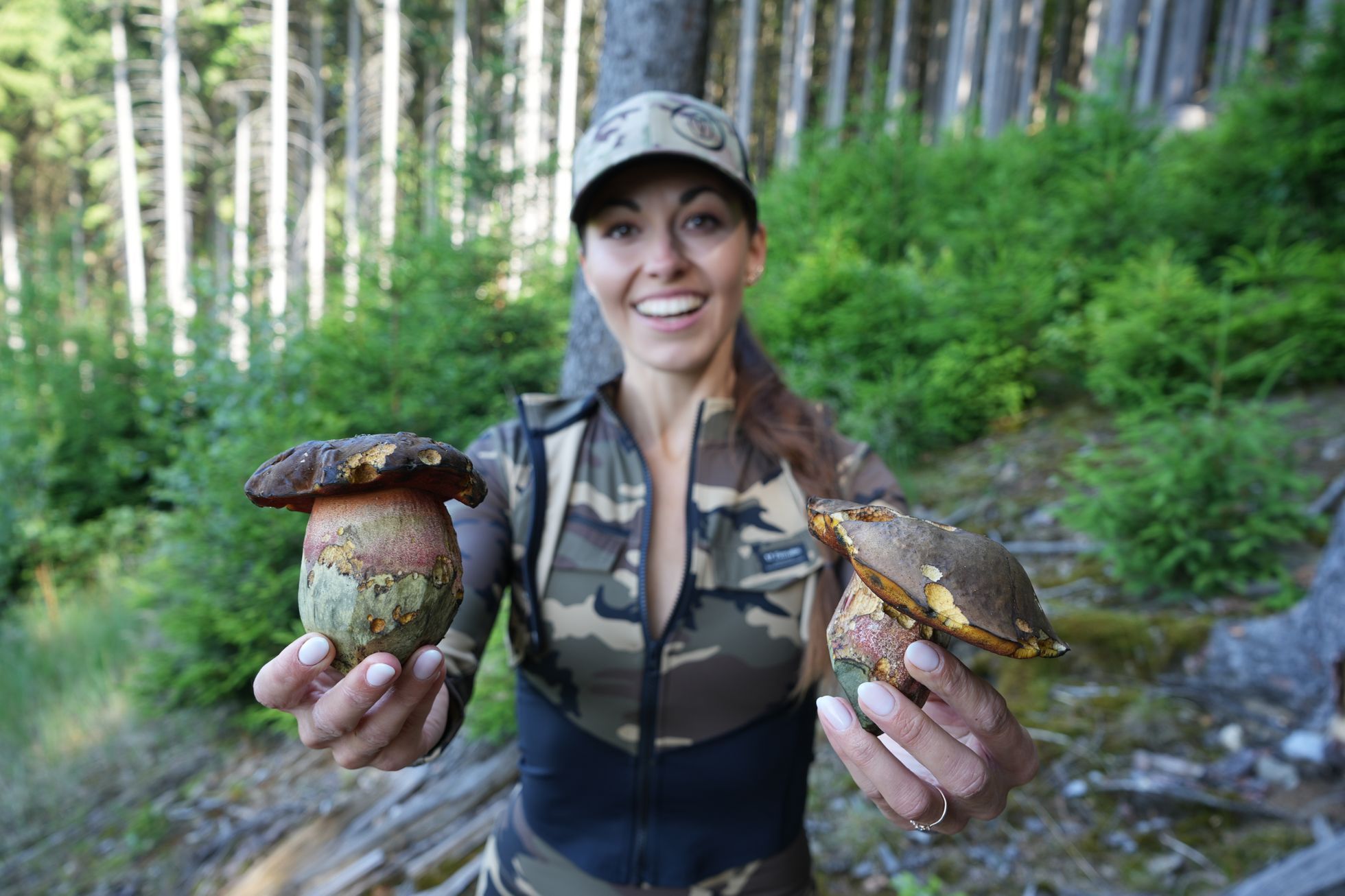 šumavská houbička, houbaření, houby