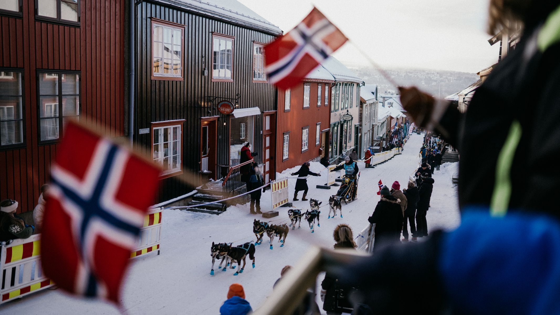 femundlopet psí spřežení mushing norsko