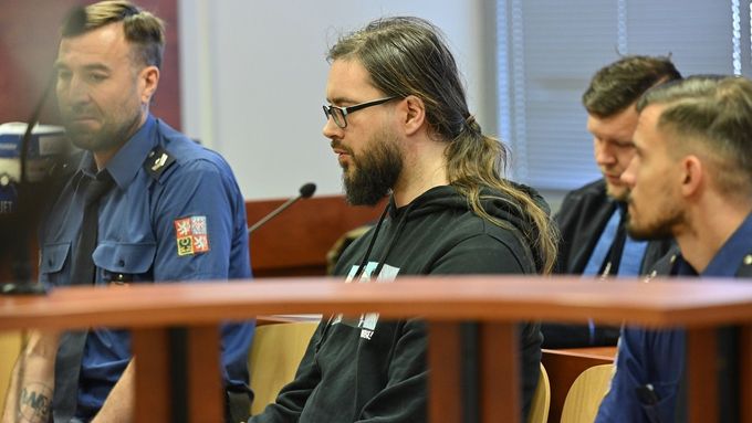 Obžalovaný Jiří Lobotka ve čtvrtek prohlásil u Krajského soudu v Ústí nad Labem vinu v případě menších požárů v Českém Švýcarsku a na dalších místech Děčínska.