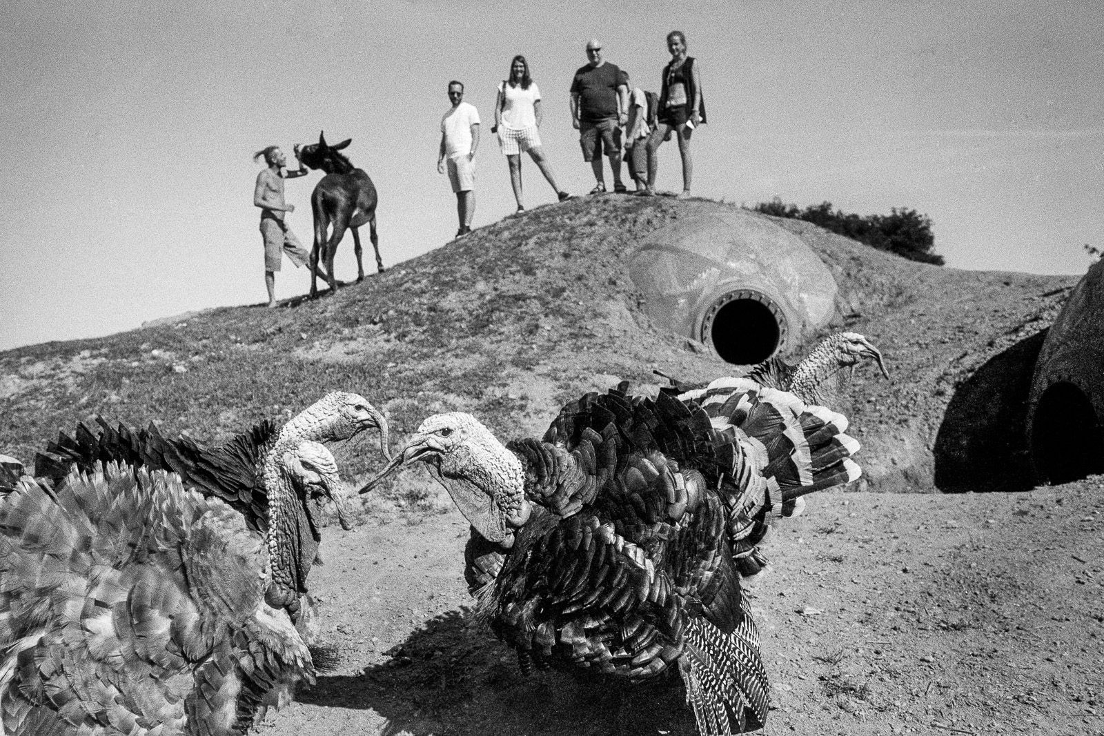 Dan Šperl - Všednosti (ukázky ze stejnojmenné výstavy fotografií)