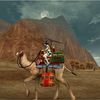 Silkroad Online