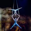 Cirque du Soleil: Ovo, 2023, O2 arena
