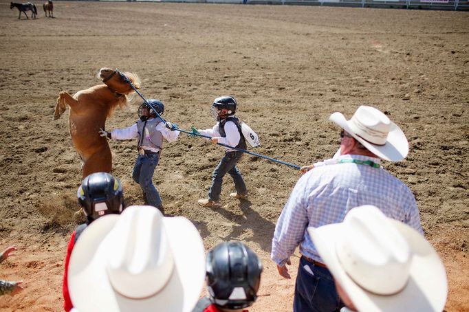 Rodeo v Calgary