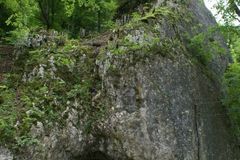 Němci nalezli v jeskyni 35 tisíc let starou flétnu