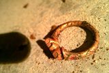 Nalezený prsten patří Kateřině z Ludanic.