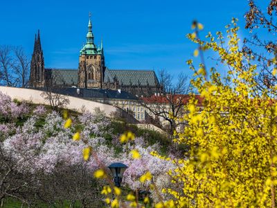 Až příliš krásný březen v Praze. Fotky, které jedny těší a u jiných vzbuzují obavy
