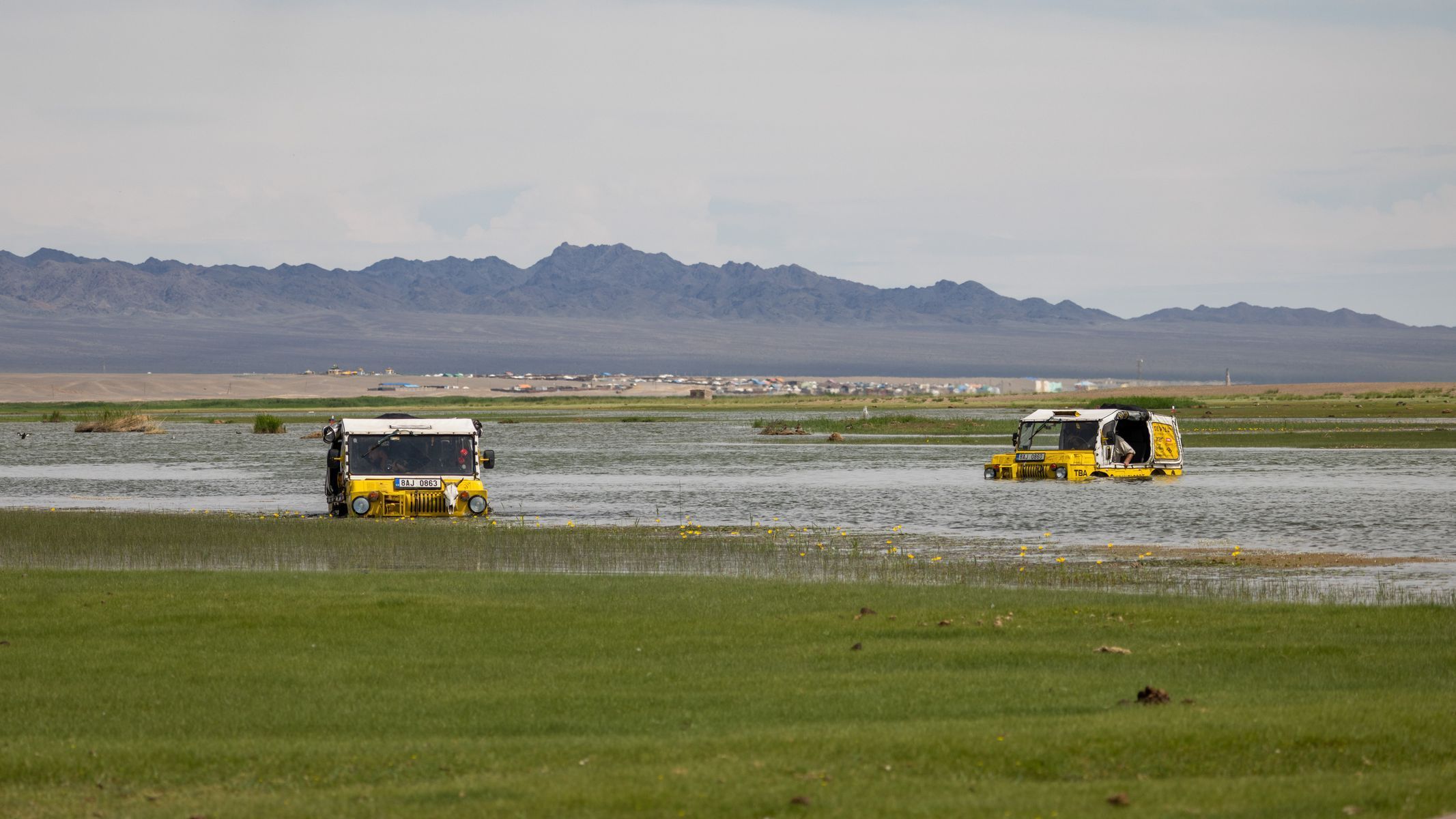 Žlutá žába pluje!