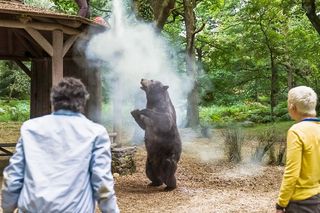 Záběry z amerického filmu Medvěd na koksu.