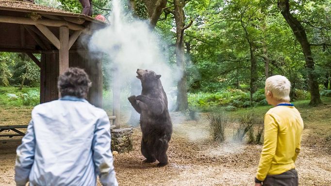 Záběry z amerického filmu Medvěd na koksu.