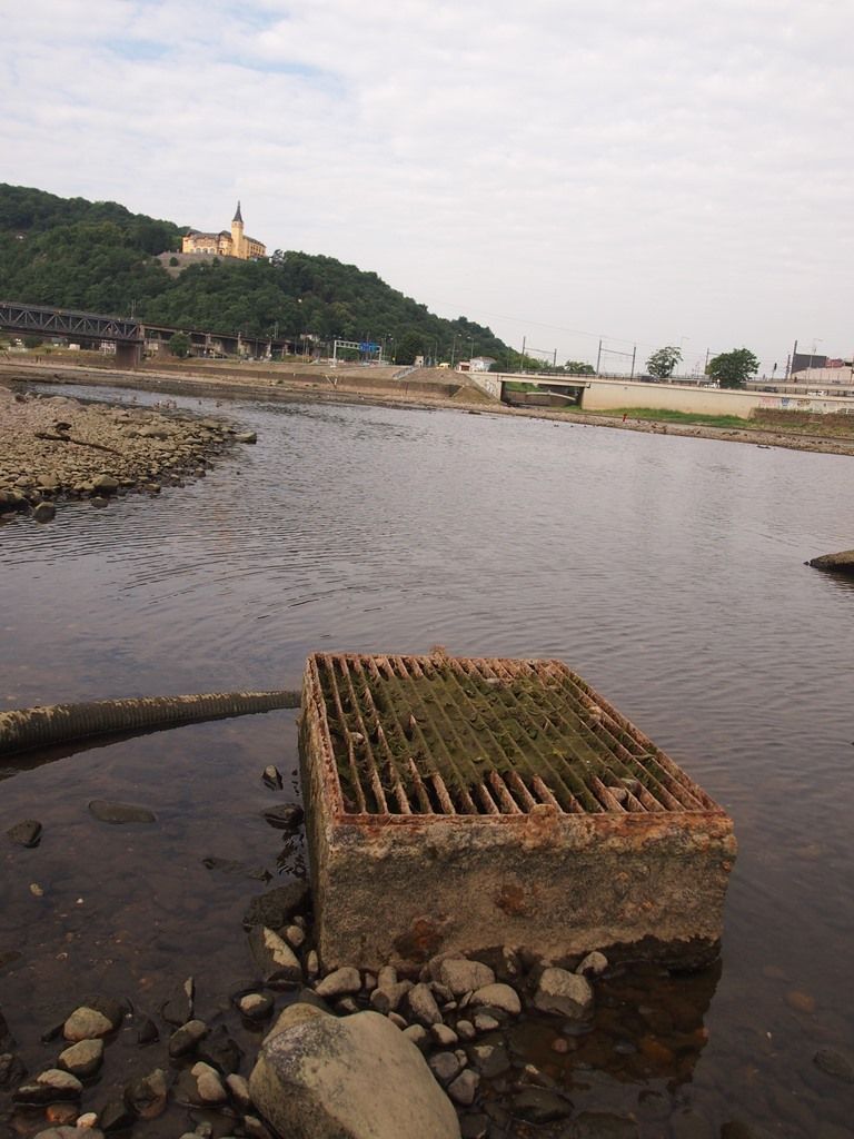 Sucho Labe v Ústí nad Labem 24. 7. 2015