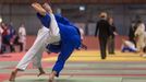 Judo, Grand Prix Ostrava 2017