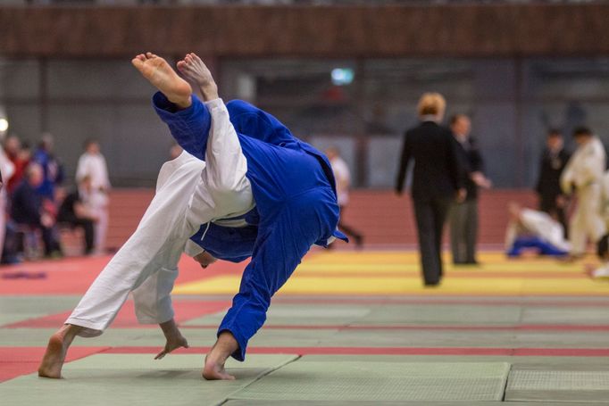 Judo, Grand Prix Ostrava 2017