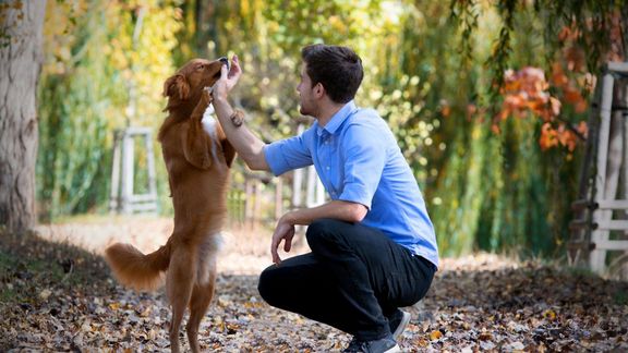 "Dobře fungují odměny. Nastavte situaci tak, aby ji pes zvládl a to chování, které se vám líbí, odměňujte," radí trenér.