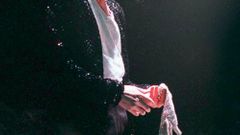 Michael Jackson na obálce aukčního katalogu