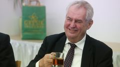 Miloš Zeman v Ústí