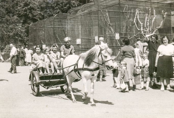 ZOO Liberec slaví 120 let od svého vzniku. Podívejte se na historické momenty a vývoj nejstarší zoologické zahrady v českých zemích od jejího založení v roce 1904.