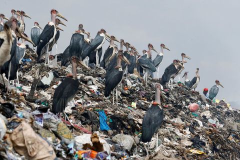 Keňa - problémy s plastikovým odpadem