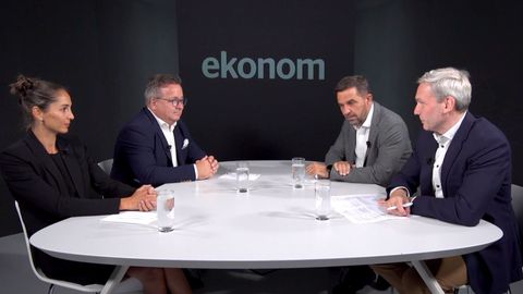 Debata Ekonomu: Větší podpora asistované reprodukce může zbrzdit demografickou krizi