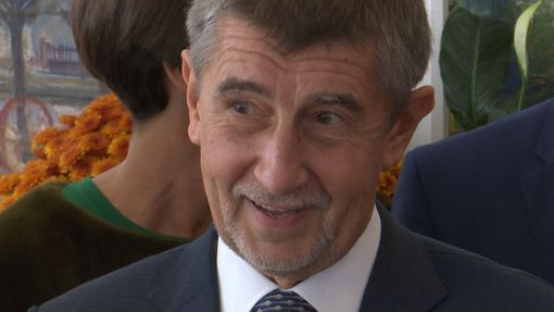 Andrej Babiš volil v Průhonicích