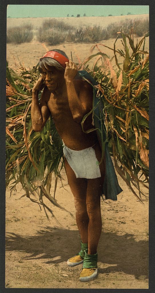 USA před 120 lety - fotochoromy se sbírek knihovny Kongresu (Library of Congress)