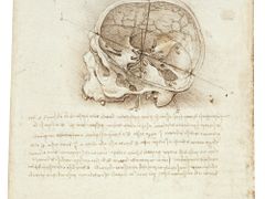 Leonardo da Vinci - Anatomické kresby lebky, hlavy a nervů - lebka zobrazená v řezu, 1489