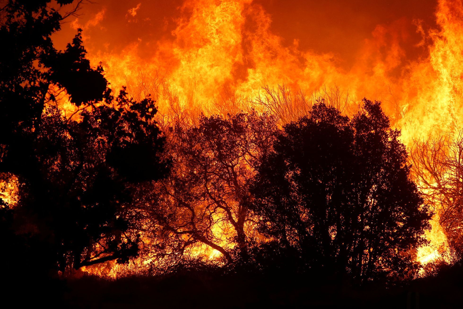 Požár v Jižní Kalifornii