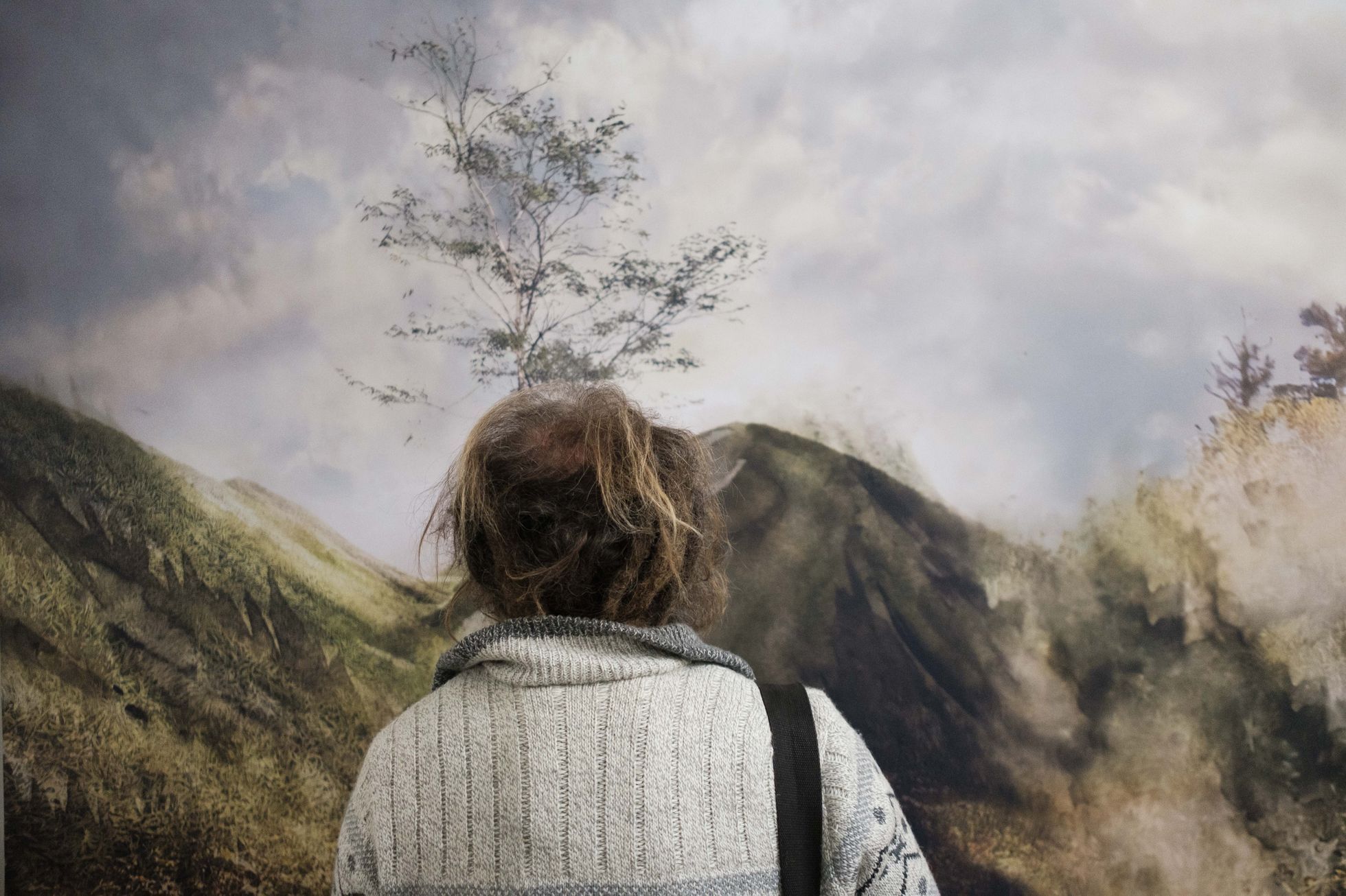 Blanka Solár na výstavě Hřbitov bez hrobů; pietní biocentrum?