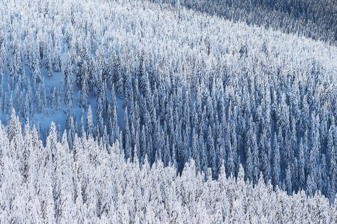 Krkonoše, zimní stezka z Lysé hory na Vrbatovu boudu